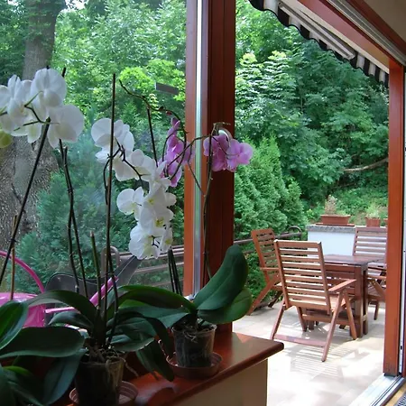 Zen Healing House