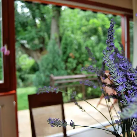 Zen Healing House Βουδαπέστη